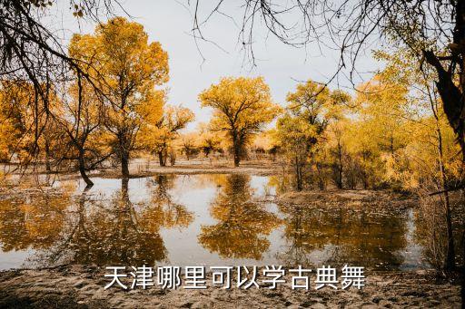  天津哪里可以学古典舞