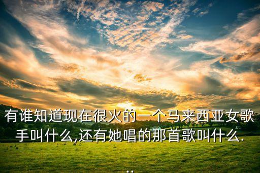 有谁知道现在很火的一个马来西亚女歌手叫什么,还有她唱的那首歌叫什么...