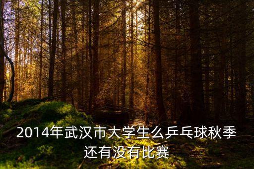 2014年武汉市大学生么乒乓球秋季还有没有比赛