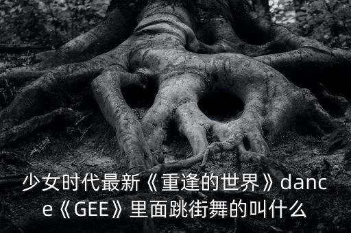 少女时代最新《重逢的世界》dance《GEE》里面跳街舞的叫什么