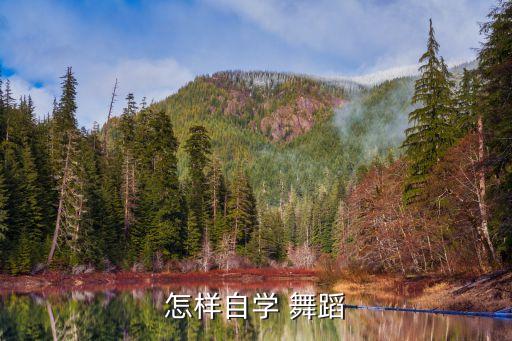 喜欢舞蹈教程单人,troublemaker单人舞蹈教程完整版
