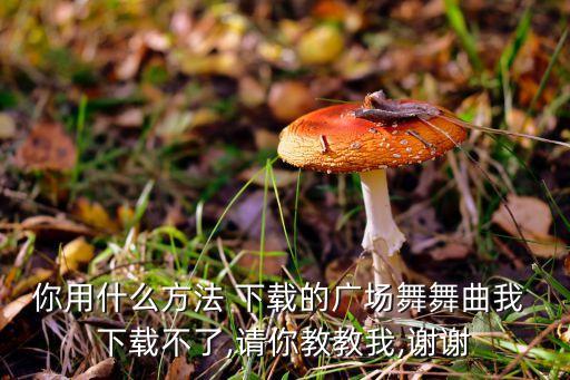 你用什么方法 下载的广场舞舞曲我 下载不了,请你教教我,谢谢