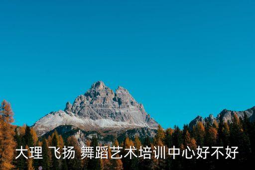 大理 飞扬 舞蹈艺术培训中心好不好