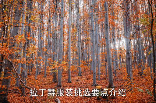舞蹈装备是什么,kizomba是什么舞蹈
