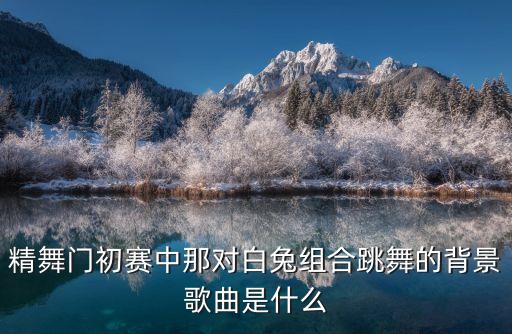 精舞门初赛中那对白兔组合跳舞的背景歌曲是什么