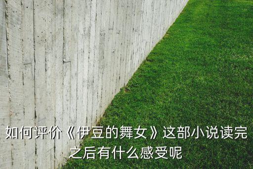 如何评价《伊豆的舞女》这部小说读完之后有什么感受呢