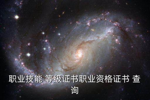 职业技能 等级证书职业资格证书 查询