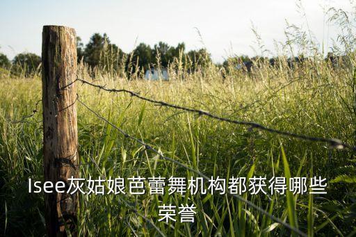 gdc国际青少年舞蹈大赛作品,GDC国际青少年舞蹈大赛