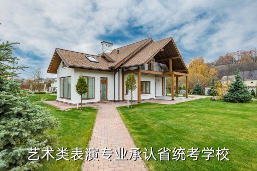 艺术类表演专业承认省统考学校