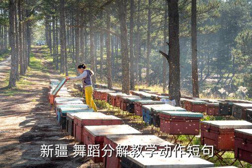  新疆 舞蹈分解教学动作短句