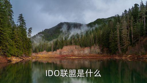 IDO联盟是什么