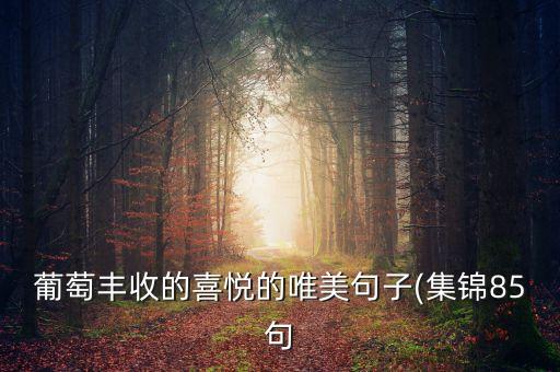 葡萄丰收的喜悦的唯美句子(集锦85句