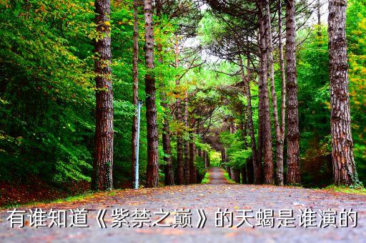 燕天歇舞蹈