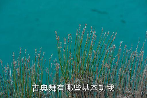 四位转教学舞蹈,舞蹈基本功平转教学视频