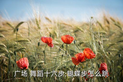 广场 舞蹈十六步,蝴蝶步怎么跳