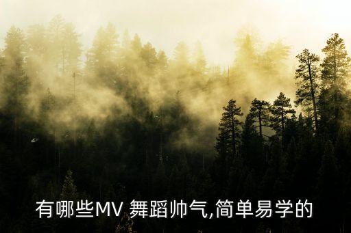 有哪些MV 舞蹈帅气,简单易学的