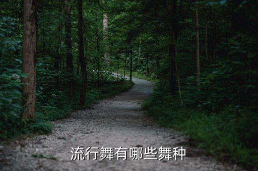 流行舞有哪些舞种