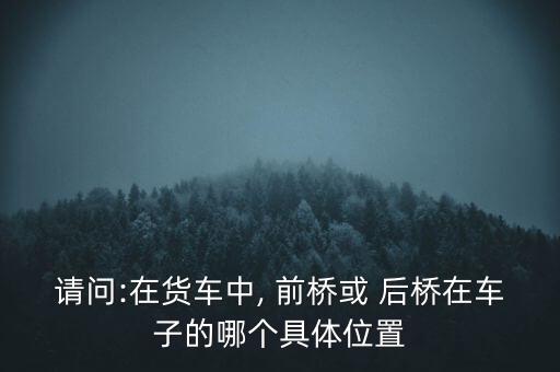 请问:在货车中, 前桥或 后桥在车子的哪个具体位置