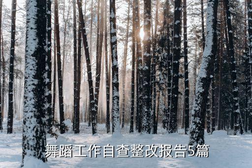  舞蹈工作自查整改报告5篇