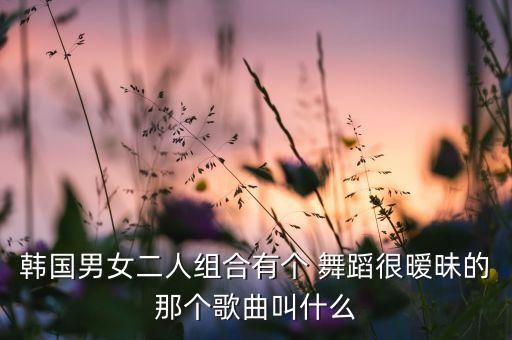 韩国男女二人组合有个 舞蹈很暧昧的那个歌曲叫什么