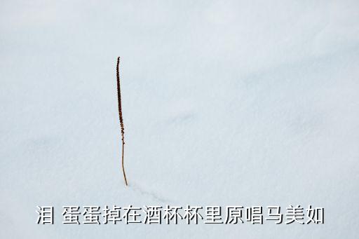 泪 蛋蛋掉在酒杯杯里原唱马美如