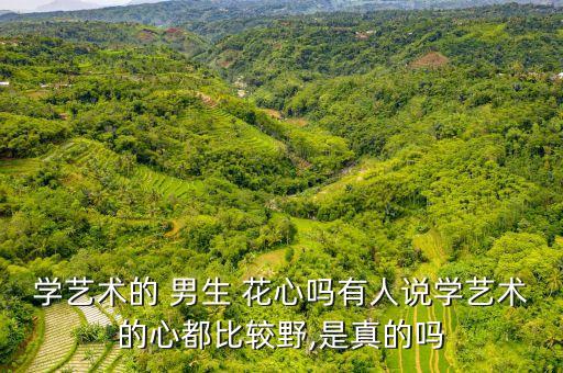 学艺术的 男生 花心吗有人说学艺术的心都比较野,是真的吗