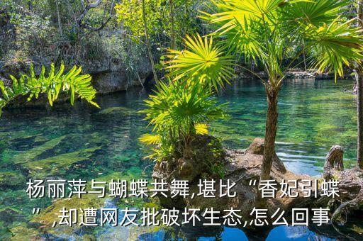  杨丽萍与蝴蝶共舞,堪比“香妃引蝶”,却遭网友批破坏生态,怎么回事