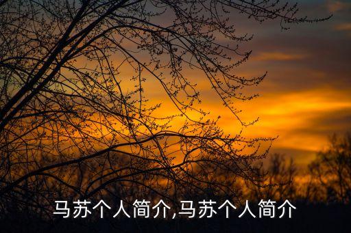 马苏个人简介,马苏个人简介