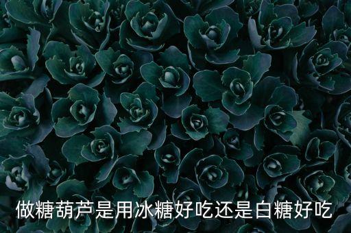 做糖葫芦是用冰糖好吃还是白糖好吃