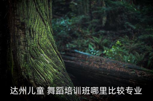 张攀 舞蹈,张攀舞蹈我的玫瑰卓玛拉演示