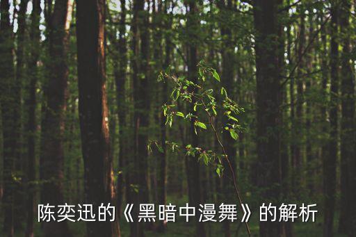 陈奕迅的《黑暗中漫舞》的解析