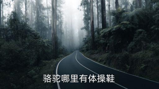 什么牌子的广场舞舞蹈鞋好,广场舞和其他舞蹈有什么不同