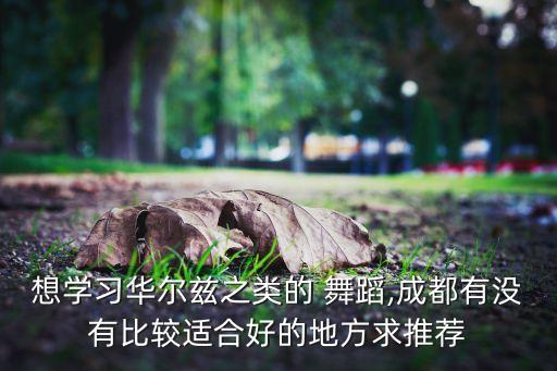 想学习华尔兹之类的 舞蹈,成都有没有比较适合好的地方求推荐