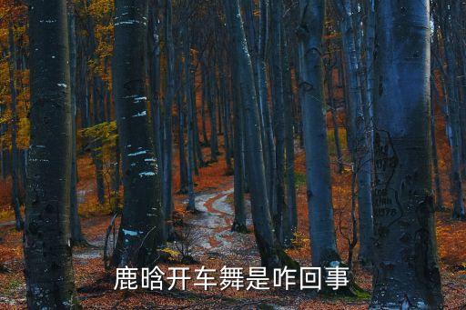 为你加油舞蹈,加油amigo舞蹈