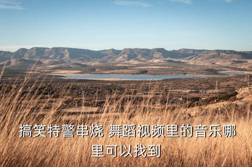  搞笑特警串烧 舞蹈视频里的音乐哪里可以找到