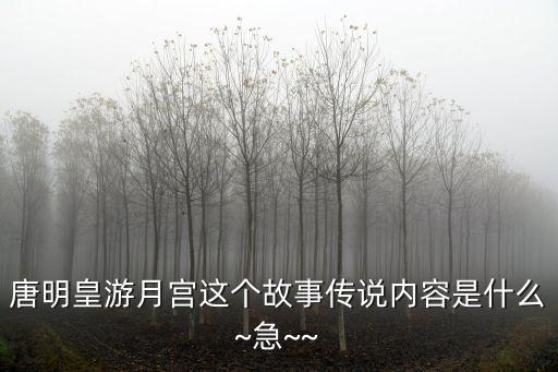 唐明皇游月宫这个故事传说内容是什么~急~~