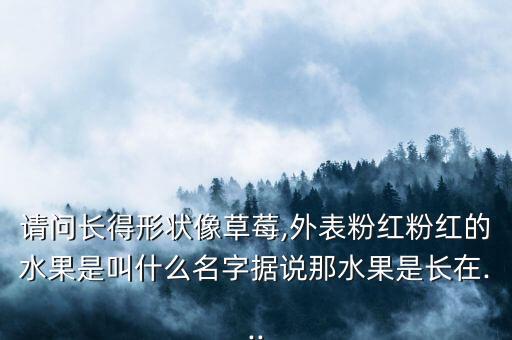 请问长得形状像草莓,外表粉红粉红的水果是叫什么名字据说那水果是长在...
