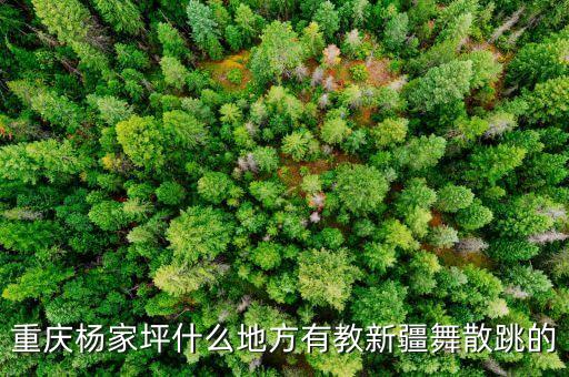 重庆杨家坪什么地方有教新疆舞散跳的