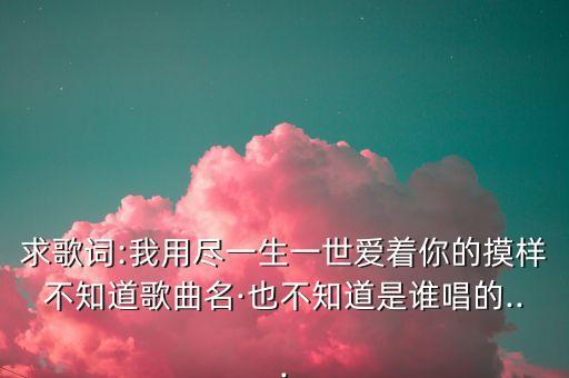 求歌词:我用尽一生一世爱着你的摸样不知道歌曲名·也不知道是谁唱的...