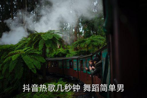 流行舞蹈独舞视频大全