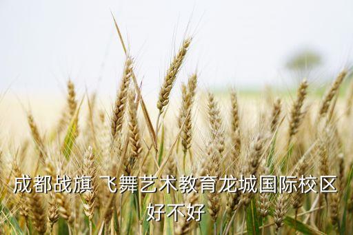 成都战旗 飞舞艺术教育龙城国际校区好不好