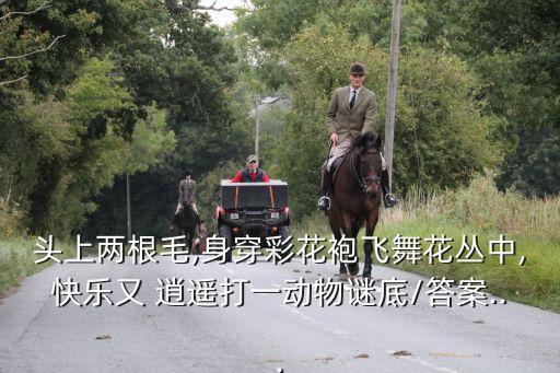 水逍遥舞蹈视频,逍遥舞蹈视频完整版三分钟以上