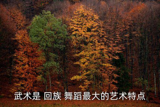 回族 舞蹈,回族舞蹈的风格特点
