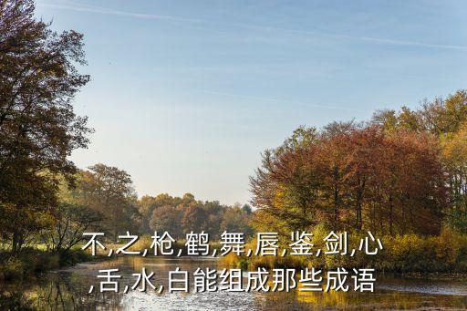 白水舞蹈视频,白水新闻联播视频