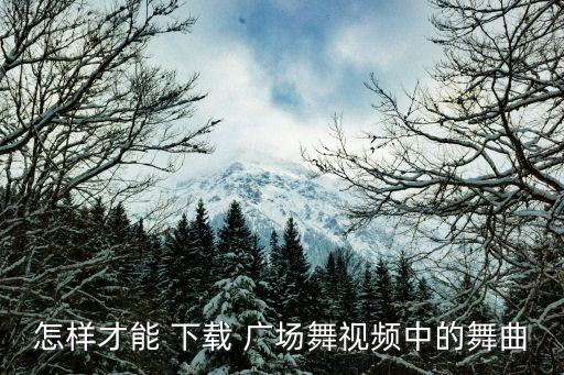 怎样才能 下载 广场舞视频中的舞曲