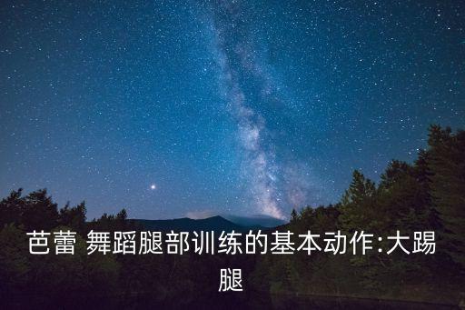 舞蹈踢前腿要领,舞蹈抱腿动作要领和要求