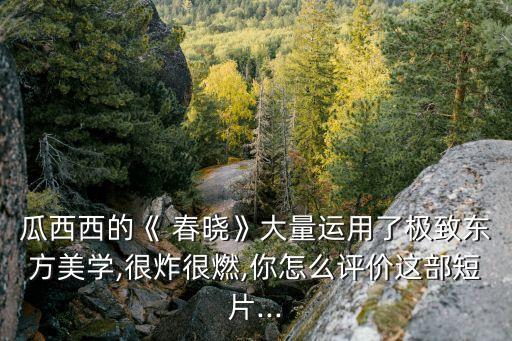 瓜西西的《 春晓》大量运用了极致东方美学,很炸很燃,你怎么评价这部短片...
