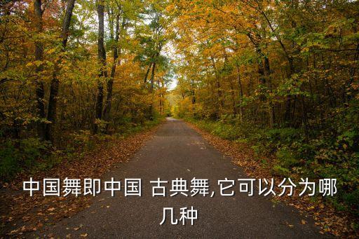 古典舞的舞蹈特点,风筝误舞蹈古典舞完整版