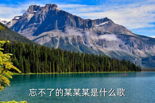忘不了的某某某是什么歌