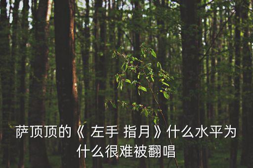 萨顶顶的《 左手 指月》什么水平为什么很难被翻唱